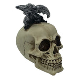 Gargoyle Skull Gothic Fantasy Resin Collectible