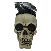 Gargoyle Skull Gothic Fantasy Resin Collectible
