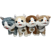 Dancing Short Haired Cat – Interactive Walking Toy with Lead image 0