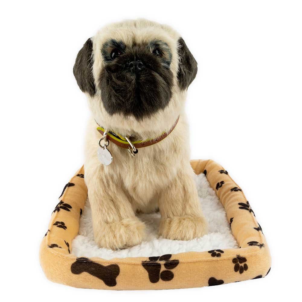 Sweet Petzzz - Pug Dog image