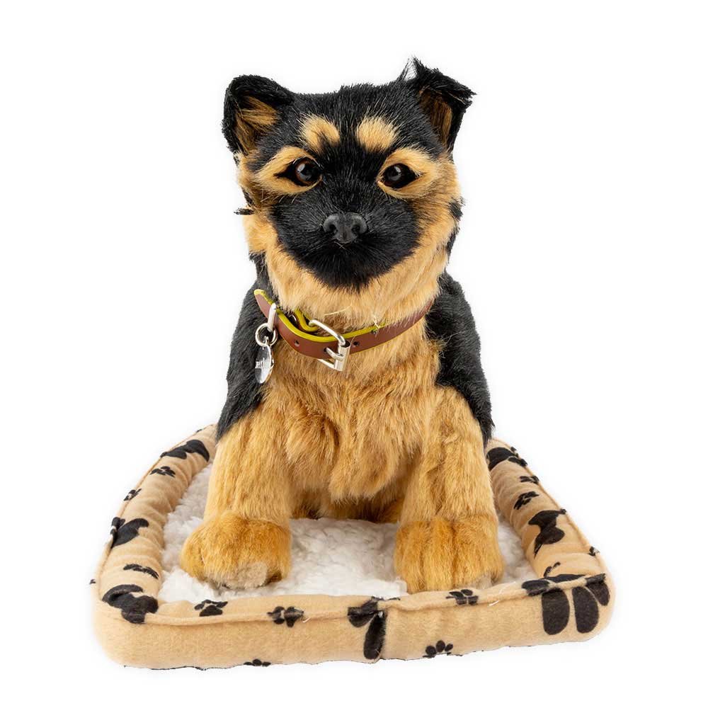 Sweet Petzzz image 20