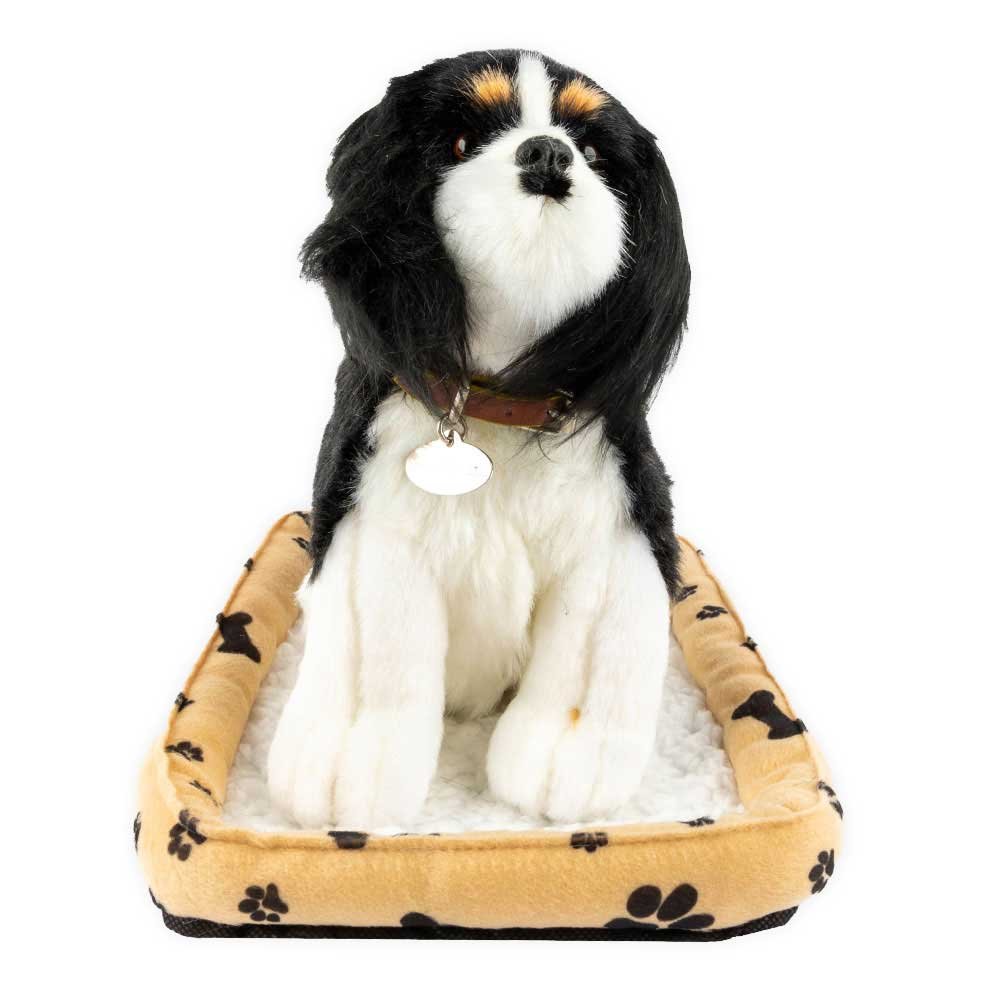 Sweet Petzzz - Bernese Mountain Dog image