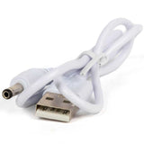 Dancing Cactus Toy image 3