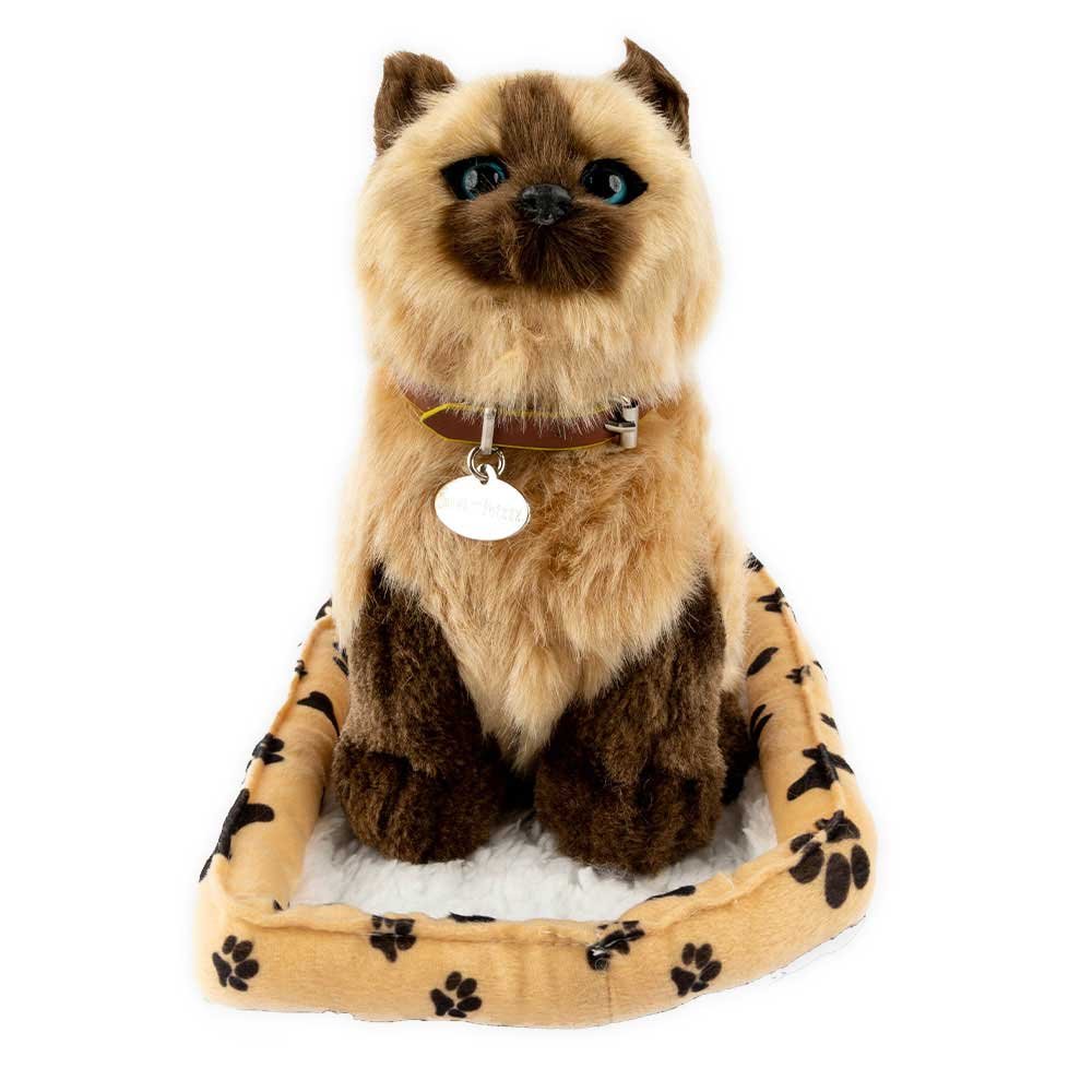 Sweet Petzzz image 1