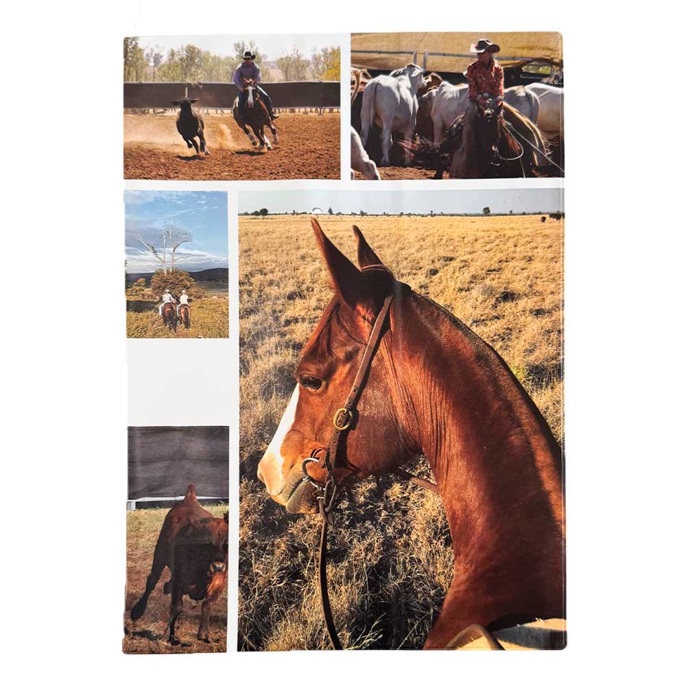 Country Horse A4 Book Cover – School Buzz Edition