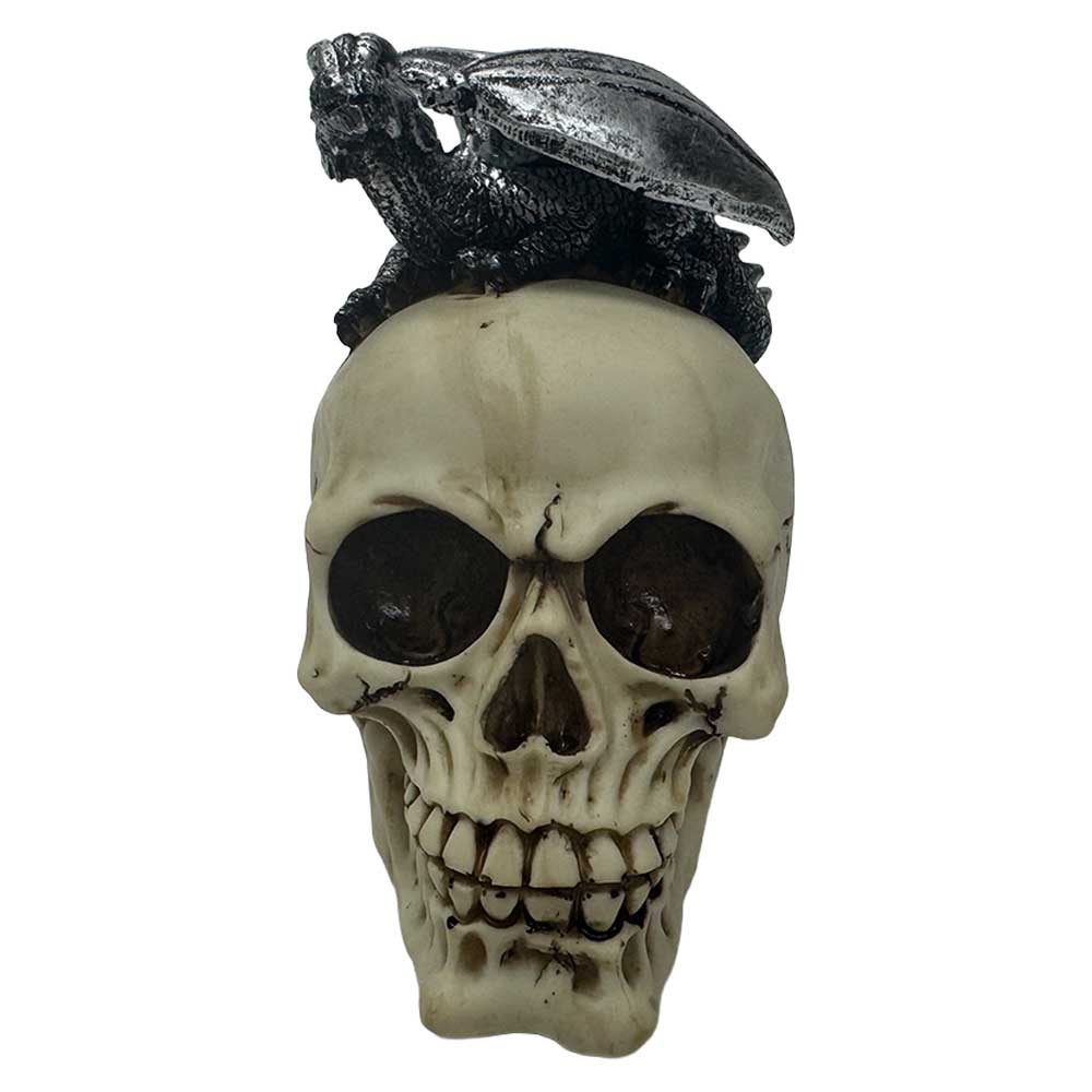 Gargoyle Skull Gothic Fantasy Resin Collectible