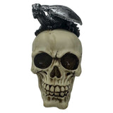 Gargoyle Skull Gothic Fantasy Resin Collectible