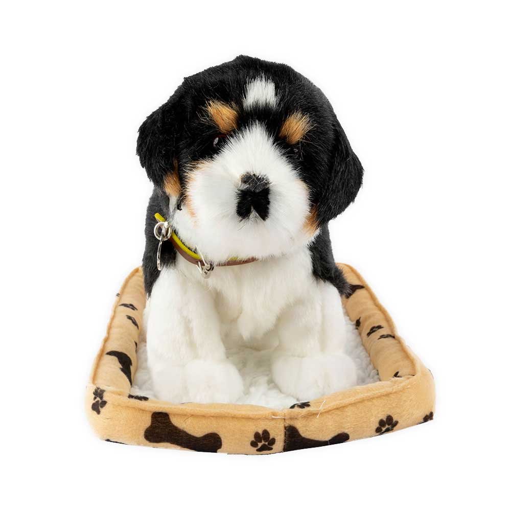 Sweet Petzzz image 12