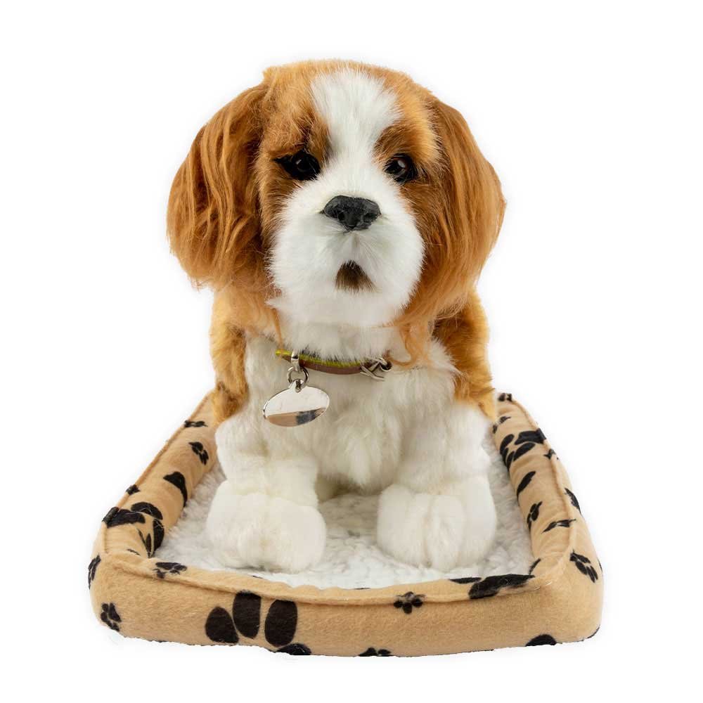 Sweet Petzzz image 22