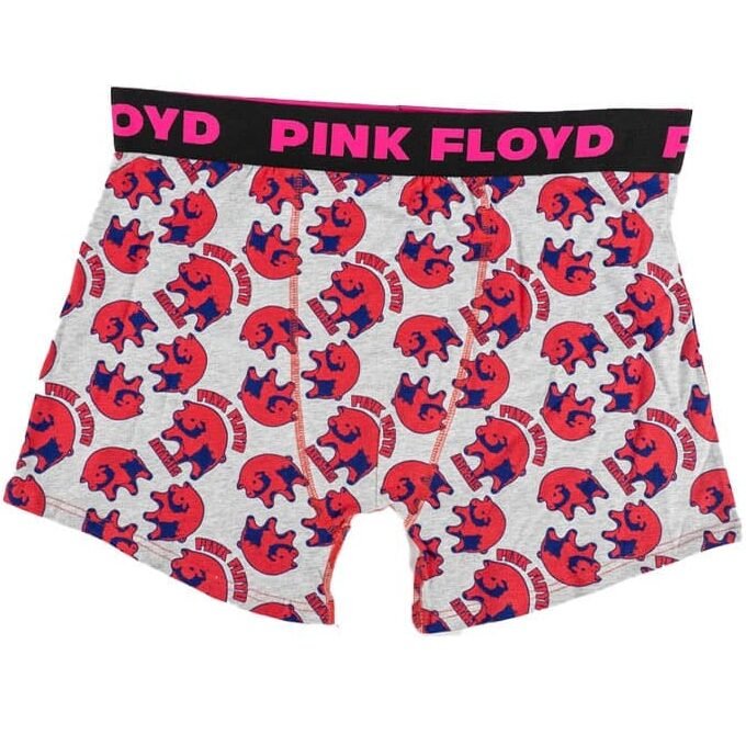 PINK FLOYD S/2 TRUNKS image 1