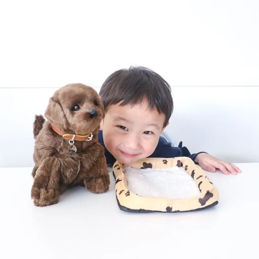 Sweet Petzzz image 25